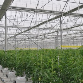 Sera elektrik sistemi